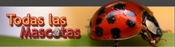 Todas las Mascotas